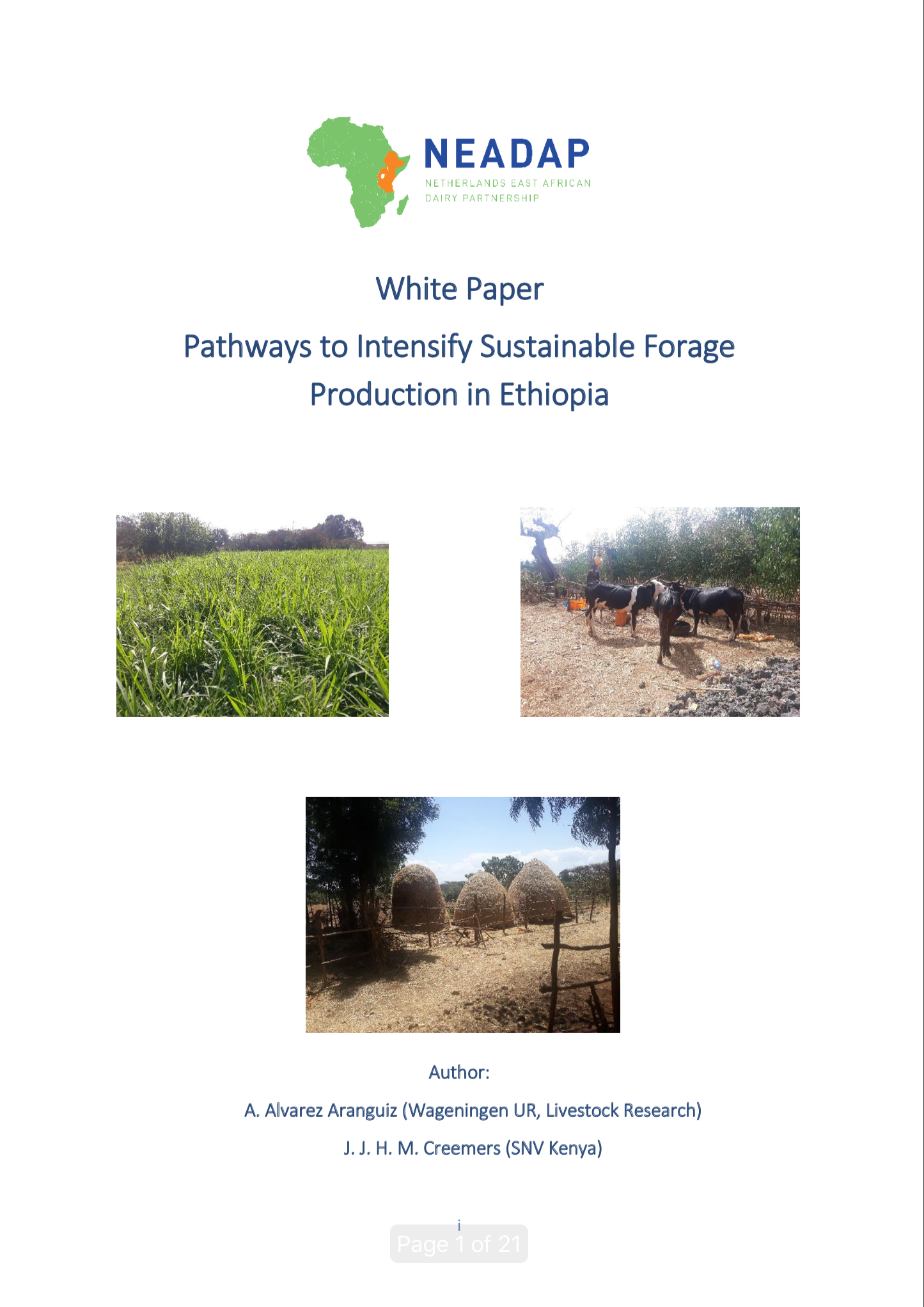 White Paper: Pathways to Intensify Sustainable Forage Production in ...
